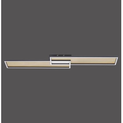 Paul Neuhaus 8371-18 - Candeeiro de teto com regulação de intensidade AMARA LED/40W/230V + CR