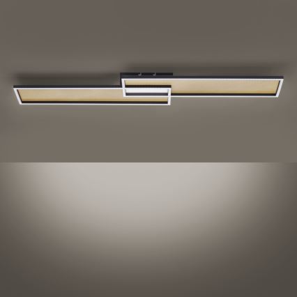 Paul Neuhaus 8371-18 - Candeeiro de teto com regulação de intensidade AMARA LED/40W/230V + CR