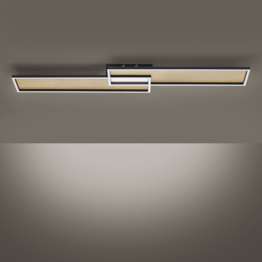 Paul Neuhaus 8371-18 - Candeeiro de teto com regulação de intensidade AMARA LED/40W/230V + CR