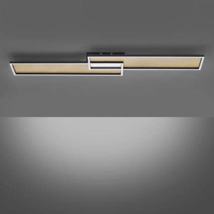 Paul Neuhaus 8371-18 - Candeeiro de teto com regulação de intensidade AMARA LED/40W/230V + CR