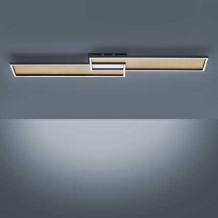 Paul Neuhaus 8371-18 - Candeeiro de teto com regulação de intensidade AMARA LED/40W/230V + CR