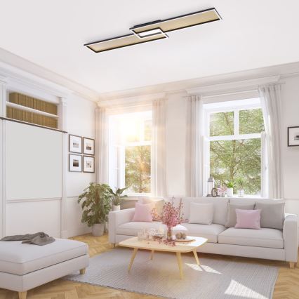 Paul Neuhaus 8371-18 - Candeeiro de teto com regulação de intensidade AMARA LED/40W/230V + CR