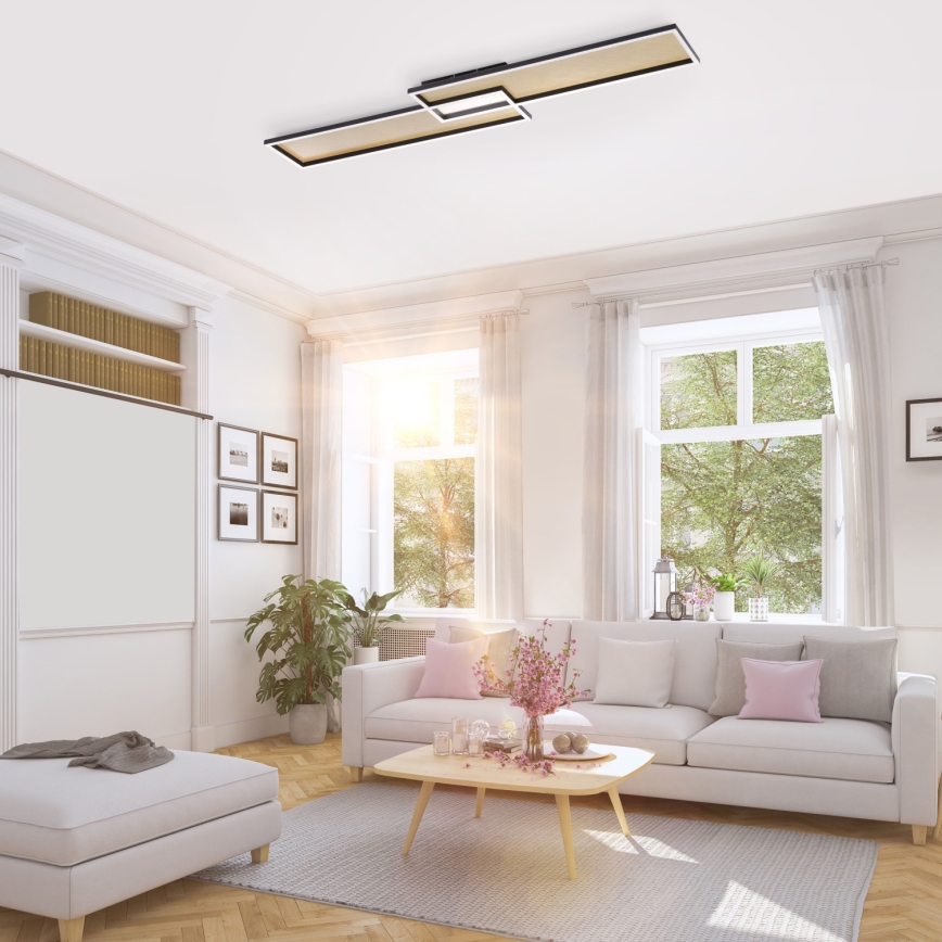 Paul Neuhaus 8371-18 - Candeeiro de teto com regulação de intensidade AMARA LED/40W/230V + CR