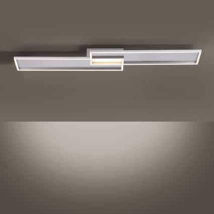 Paul Neuhaus 8371-55 - Luz de teto LED de escurecimento AMARA LED/40W/230V + RC