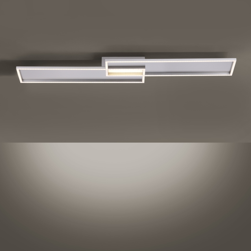 Paul Neuhaus 8371-55 - Luz de teto LED de escurecimento AMARA LED/40W/230V + RC