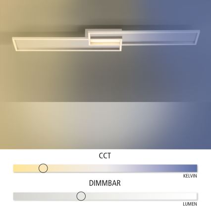 Paul Neuhaus 8371-55 - Luz de teto LED de escurecimento AMARA LED/40W/230V + RC