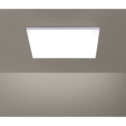 Paul Neuhaus 8492-16 - Painel montado à superfície LED com regulação FRAMELESS LED/35W/230V + controlo remoto