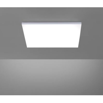 Paul Neuhaus 8492-16 - Painel montado à superfície LED com regulação FRAMELESS LED/35W/230V + controlo remoto