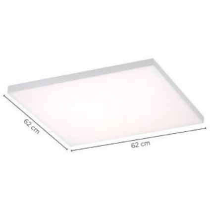 Paul Neuhaus 8492-16 - Painel montado à superfície LED com regulação FRAMELESS LED/35W/230V + controlo remoto