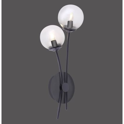 Paul Neuhaus 9014-18 - Candeeiro de parede LED WIDOW 2xG9/3W/230V