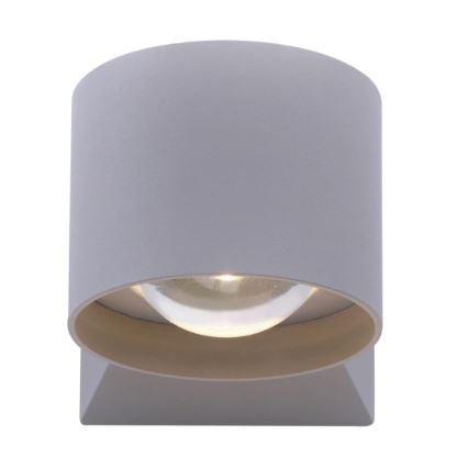 Paul Neuhaus 9441-21 - Iluminação de parede exterior LED TIMO 2xLED/2W/230V IP54