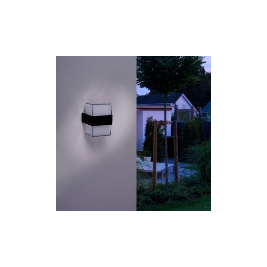 Paul Neuhaus 9480-13 - Iluminação de parede exterior LED CARA LED/8W/230V IP44