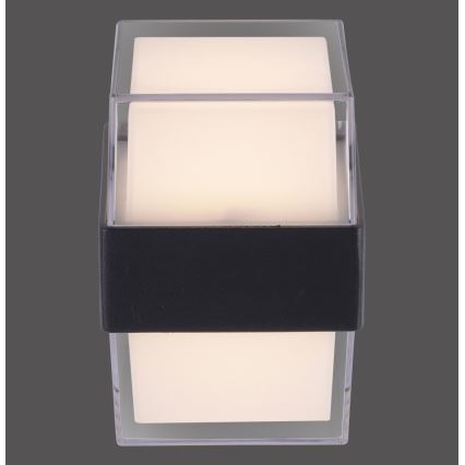 Paul Neuhaus 9480-13 - Iluminação de parede exterior LED CARA LED/8W/230V IP44