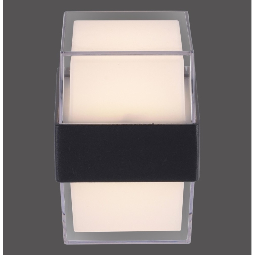 Paul Neuhaus 9480-13 - Iluminação de parede exterior LED CARA LED/8W/230V IP44