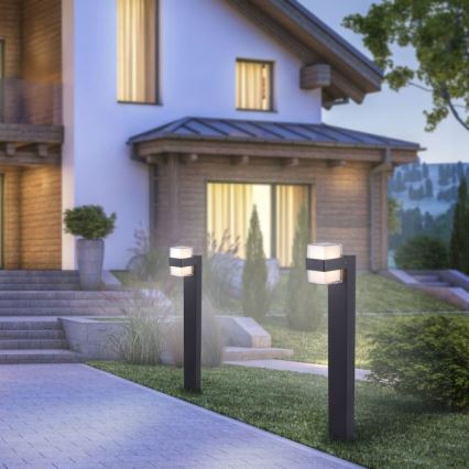 Paul Neuhaus 9481-13 - Candeeiro exterior LED CARA LED/8W/230V IP44
