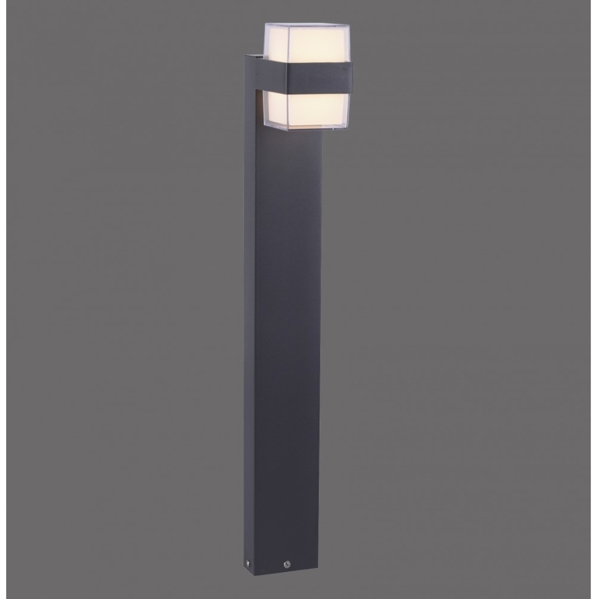Paul Neuhaus 9481-13 - Candeeiro exterior LED CARA LED/8W/230V IP44