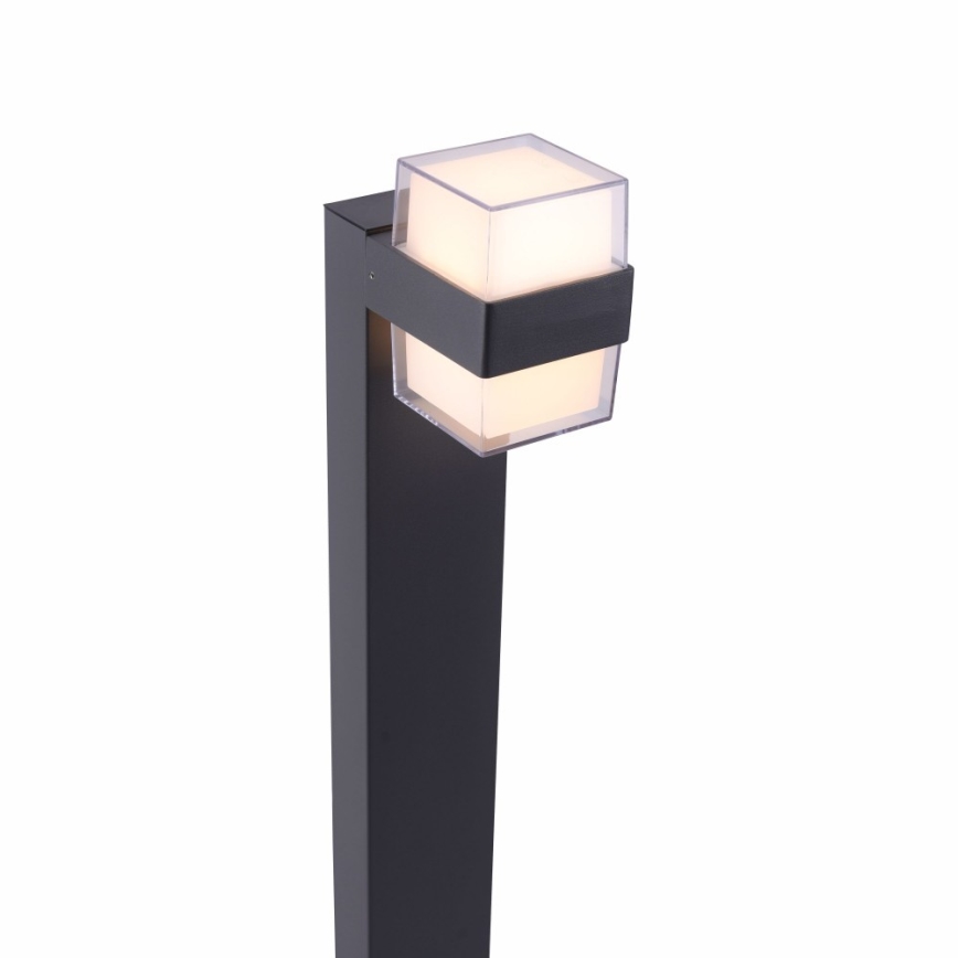 Paul Neuhaus 9481-13 - Candeeiro exterior LED CARA LED/8W/230V IP44