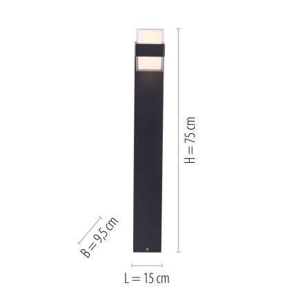 Paul Neuhaus 9481-13 - Candeeiro exterior LED CARA LED/8W/230V IP44