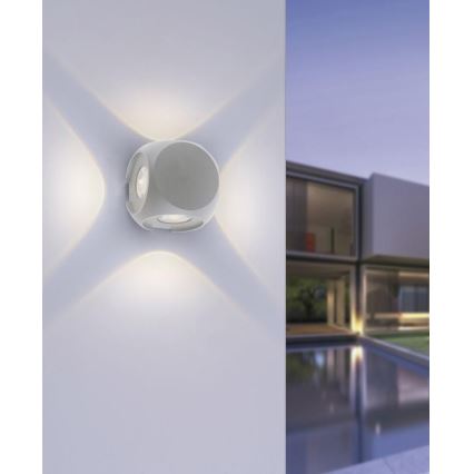 Paul Neuhaus 9485-21 - Iluminação de parede exterior LED CARLO 4xLED/0,8W/230V IP54