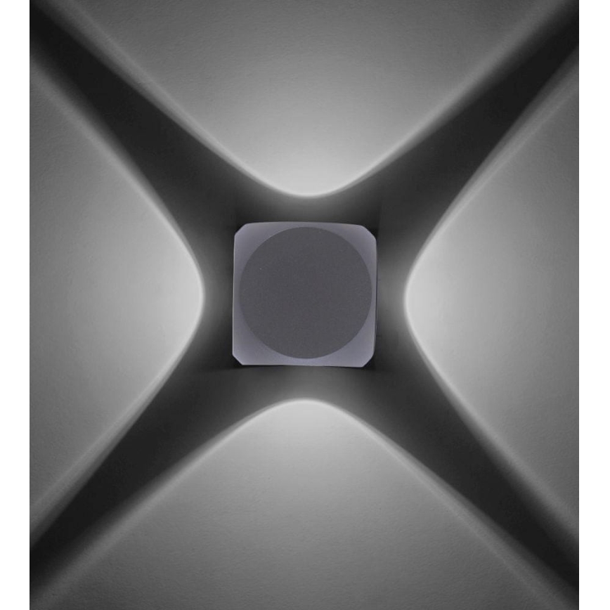 Paul Neuhaus 9485-21 - Iluminação de parede exterior LED CARLO 4xLED/0,8W/230V IP54