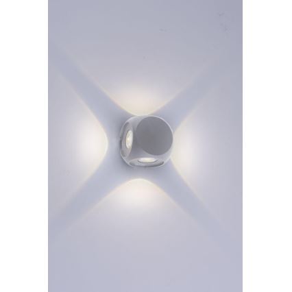 Paul Neuhaus 9485-21 - Iluminação de parede exterior LED CARLO 4xLED/0,8W/230V IP54