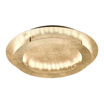 Paul Neuhaus 9621-12 - Iluminação de teto LED NEVIS LED/24W/230V