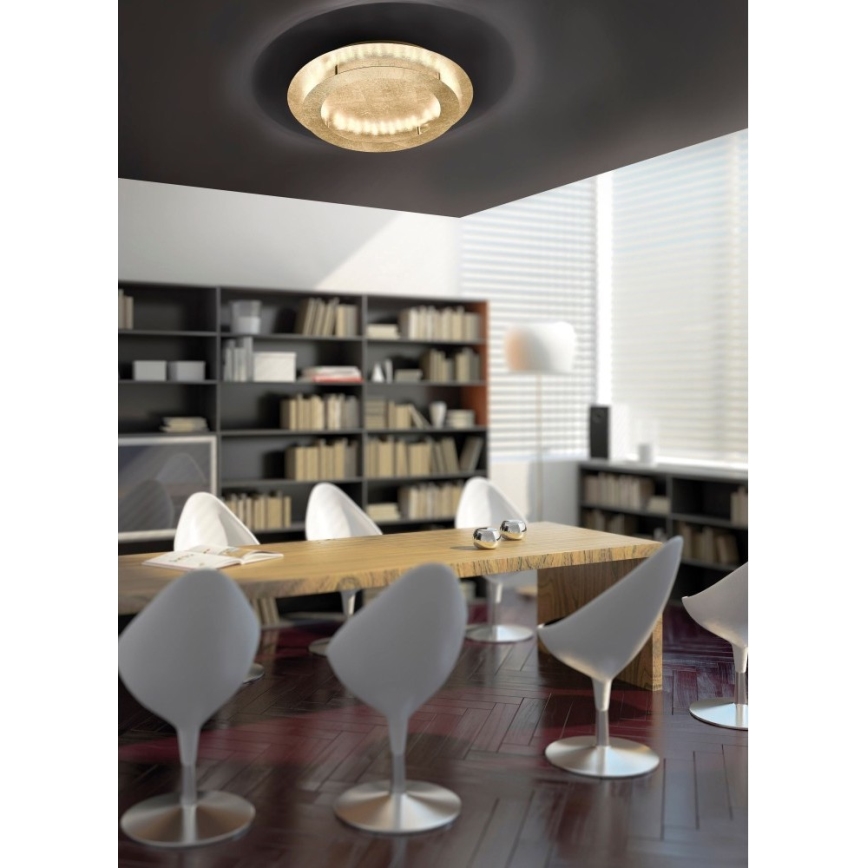 Paul Neuhaus 9621-12 - Iluminação de teto LED NEVIS LED/24W/230V