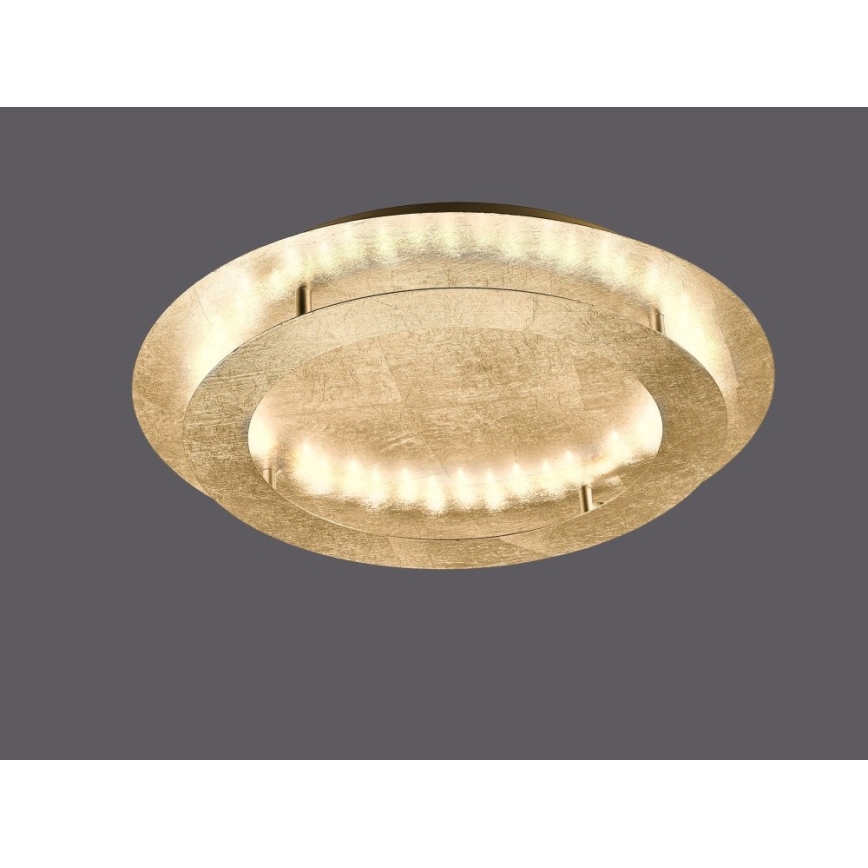 Paul Neuhaus 9621-12 - Iluminação de teto LED NEVIS LED/24W/230V