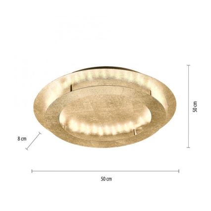 Paul Neuhaus 9621-12 - Iluminação de teto LED NEVIS LED/24W/230V