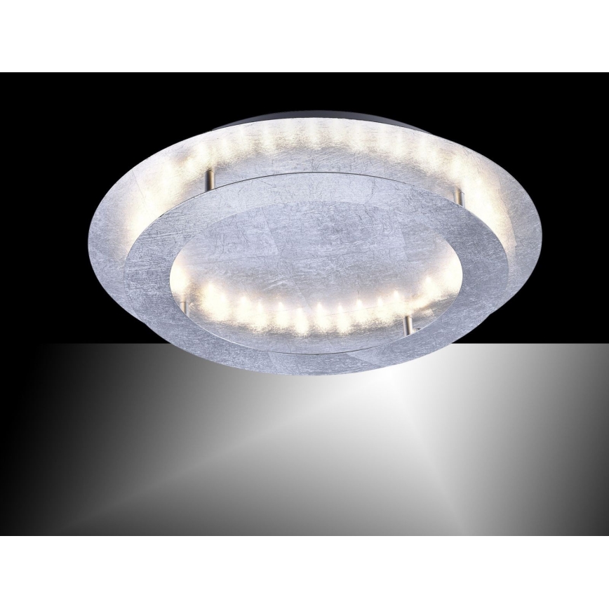 Paul Neuhaus 9621-21 - Iluminação de teto LED NEVIS LED/24W/230V
