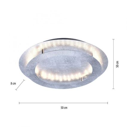 Paul Neuhaus 9621-21 - Iluminação de teto LED NEVIS LED/24W/230V