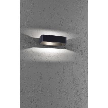 Paul Neuhaus 9668-13 - Iluminação de parede exterior LED HENDRIK LED/5,2W/230V IP54