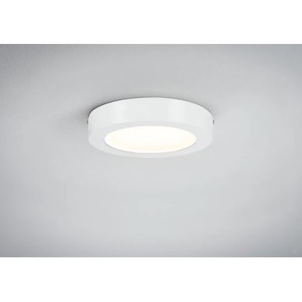 Paulmann 70642 - LED/12,5W Iluminação de teto LUNAR 230V diâmetro 22,5 cm branco