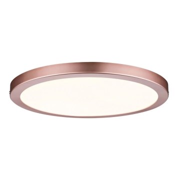 Paulmann 70872 - LED/22W Painel com regulação ATRIA 230V 2700K diâmetro 30 cm Rosa dourado