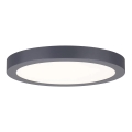 Paulmann 70988 - LED/22W Iluminação de teto ABIA 230V antracite