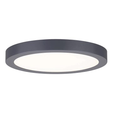 Paulmann 70988 - LED/22W Iluminação de teto ABIA 230V antracite