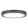 Paulmann 70988 - LED/22W Iluminação de teto ABIA 230V antracite