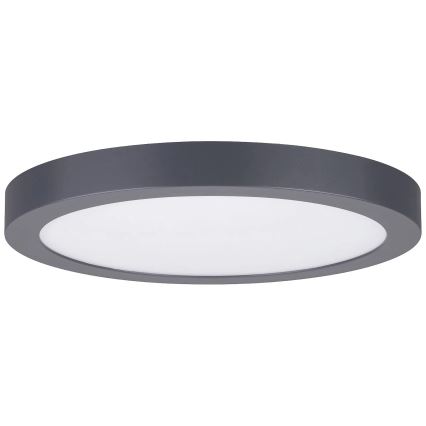 Paulmann 70988 - LED/22W Iluminação de teto ABIA 230V antracite