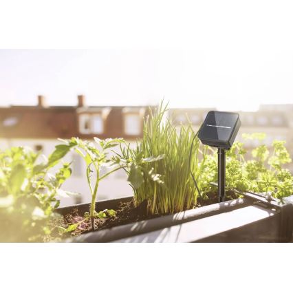 Paulmann 78896 - LED/0,3W IP44 Tira solar 3m 1,2V