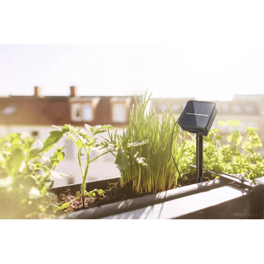 Paulmann 78896 - LED/0,3W IP44 Tira solar 3m 1,2V