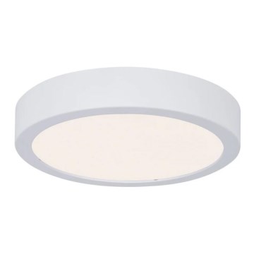 Paulmann 78923 - LED/13W IP44 Iluminação de teto de casa de banho com regulação AVIAR 230V