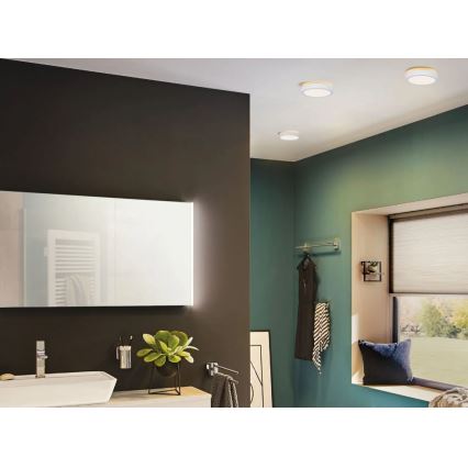 Paulmann 78923 - LED/13W IP44 Iluminação de teto de casa de banho com regulação AVIAR 230V