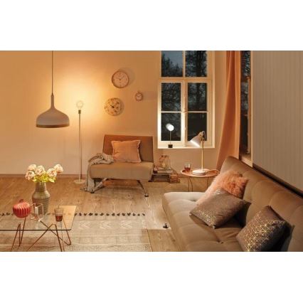 Paulmann 79615 - 1xE27/20W Candeeiro de chão NORDIN 230V