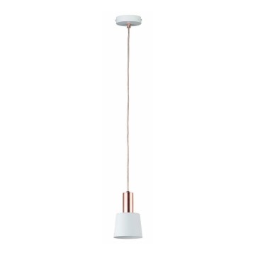 Paulmann 79656 - 1xE14/20W  Candelabro suspenso NEORDIC HALDAR 230V