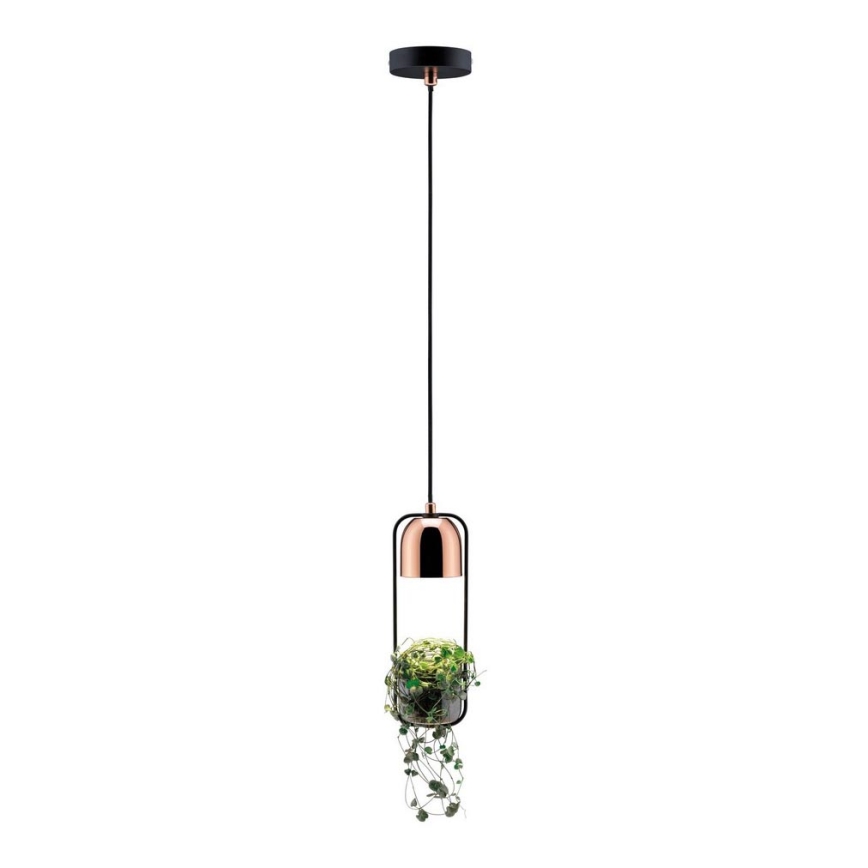 Paulmann 79749 - 1xGU10/20W Candelabro suspenso FANJA 230V