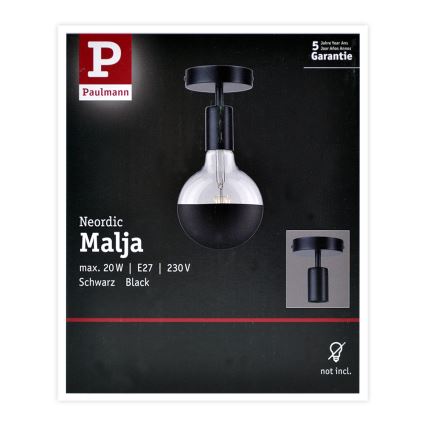 Paulmann 79760 - Luz de teto HALDOR 1xE27/20W/230V