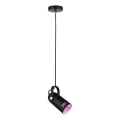 Paulmann 79766 - 1xE27/15W Lustre suspenso por cabo LAVEA 230V preto