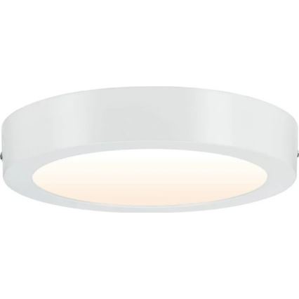 Paulmann 79795 - LED/13W Iluminação de teto CARPO 230V 2300/2500/3000K