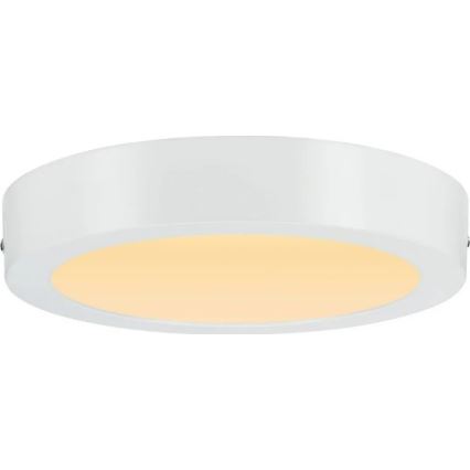 Paulmann 79795 - LED/13W Iluminação de teto CARPO 230V 2300/2500/3000K