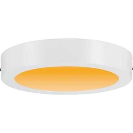 Paulmann 79795 - LED/13W Iluminação de teto CARPO 230V 2300/2500/3000K